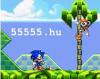 Sonic the Hedgehog online jtk