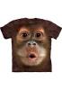 Big Face Baby Orangutan, felntt vadllatos amerikai the Mountain pl