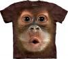 Big Face Baby Orangutan rvidujj amerikai 3D gyermek pl