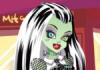 Monster High: ruha Frankie Stein