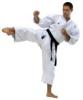 Fehr Karate verseny ruha 150cm