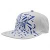 Tapout Corruption Snapback Sapka Fehr