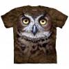 Great Horned Owl Head felntt rvidujj amerikai pl