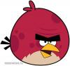 Angry_Birds_03 ruhra vasalhat matrica 10x9,5 cm