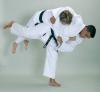 Pro Master Judo ruha