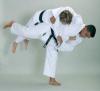Pro-Master Judo ruha