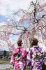 Japn leny hagyomnyos ruha h vott kimon sakura blo