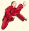 HAYASHI Kirin piros karateruha vvel