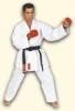 HAYASHI Kumite fehr karateruha W K F