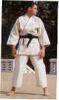 Judo ruha HAYASHI nyers